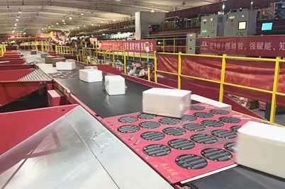 食品を安全に分類する